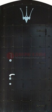 Металлическая арочная дверь ДА-22 высокого качества в Мытищах