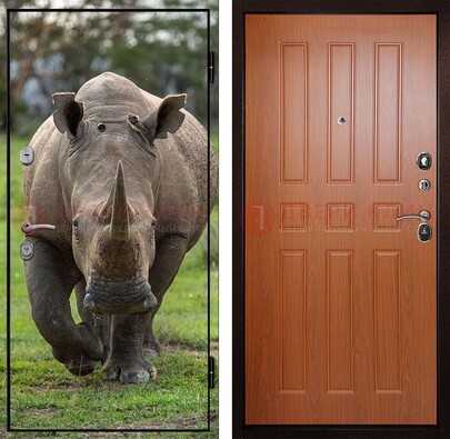 Металлическая дверь с фотопечатью носорога ДФ-31 в Мытищах