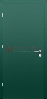 Зеленая стальная дверь с нитроэмалью ДН-6 в Мытищах