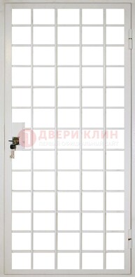 Белая металлическая решетчатая дверь ДР-2 в Мытищах